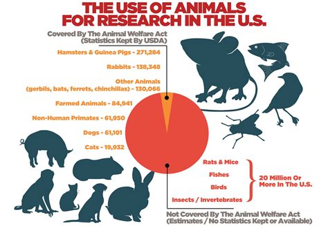 how are animals similar to humans for animal testing